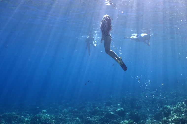 Maui Snorkel Tour