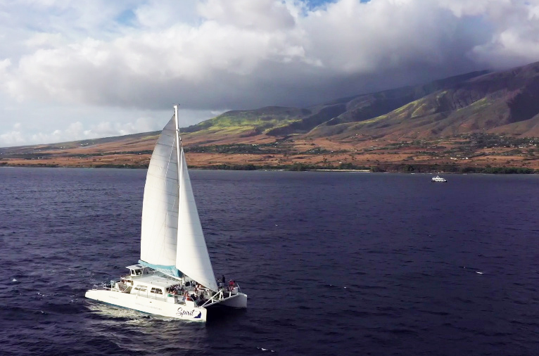 Maui Sailing