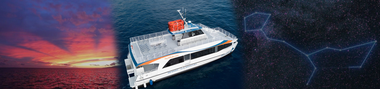 Pacific Whale Foundation - Sunset & Celestial Cruise