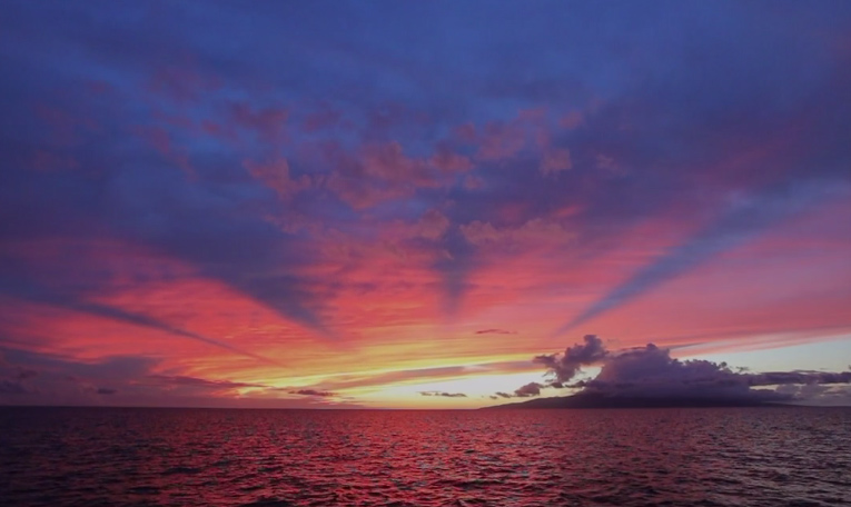 Sunset View