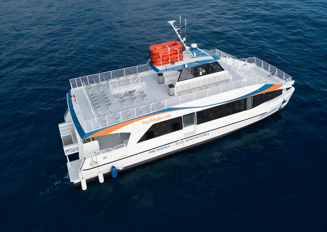 Pacific Whale Foundation – Thanksgiving Dinner Cruise