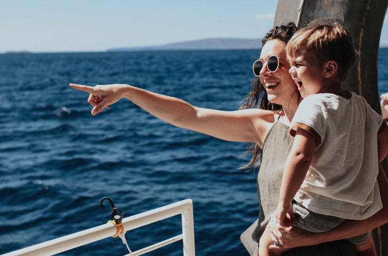Maui dolphin watching tour offering respectful encounters and stunning ocean scenery