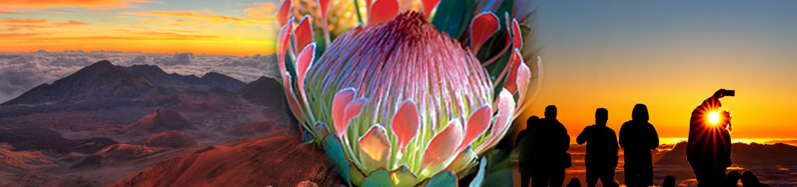 Polynesian Adventure Tours - Haleakala Sunset Tour (M5)