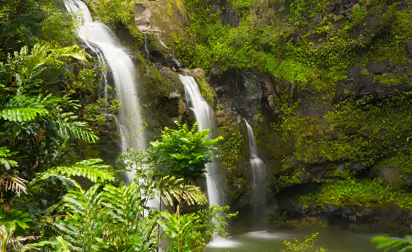 Maui Rainforest Waterfall