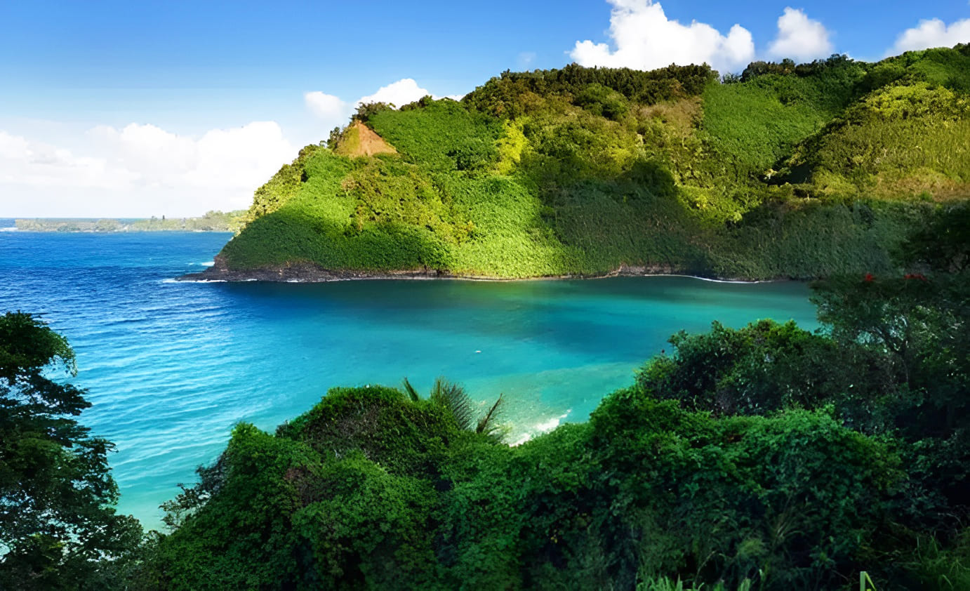 Scenic Coastline Views