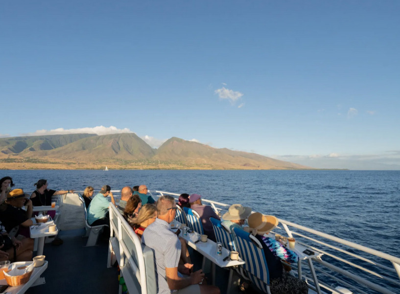 Guests observing whales from a Maui whale watching cruise in open ocean