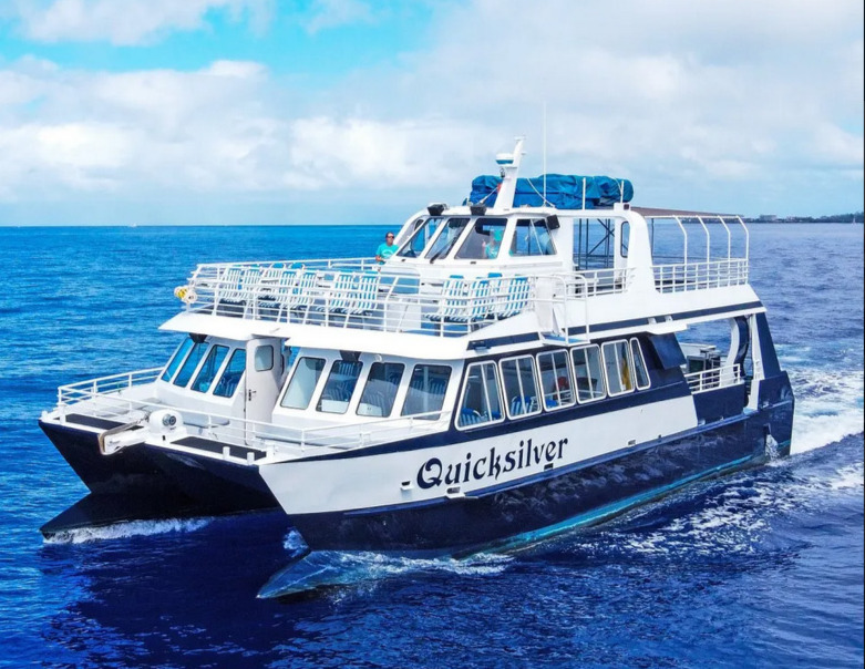 Quicksilver boat used for whale watching cruises with open-air viewing decks