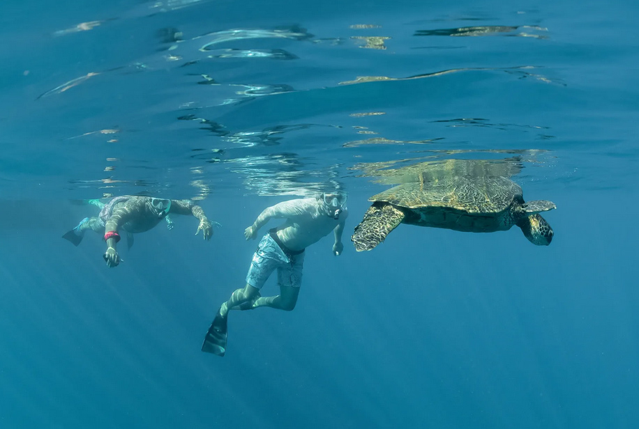 Snorkeling at Coral Gardens