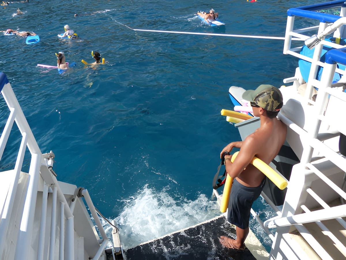 Quicksilver – Turtle Reef & Coral Gardens Morning Snorkel Cruise