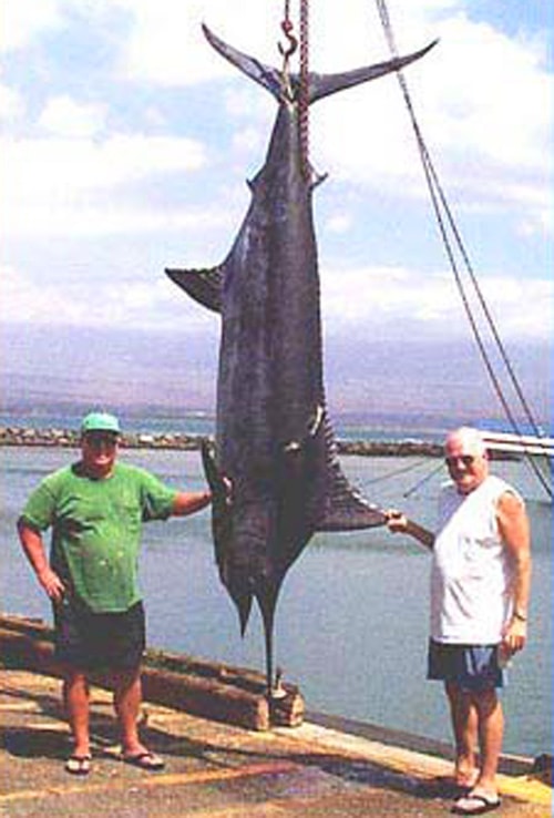 Big Catch