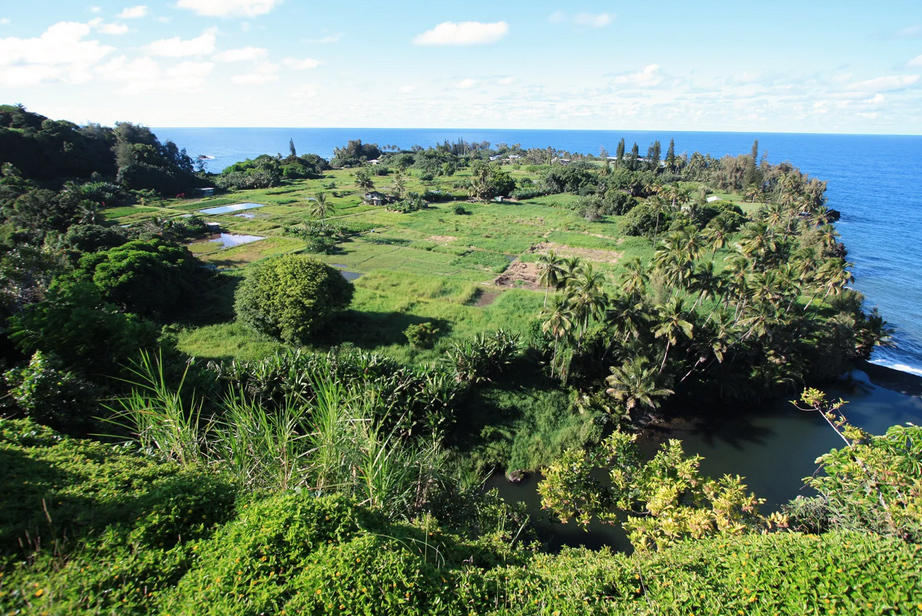 Maui Heavenly Hana Tour
