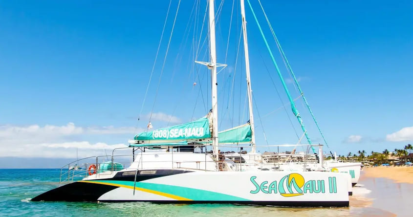 Sea Maui – Express Snorkel Tour