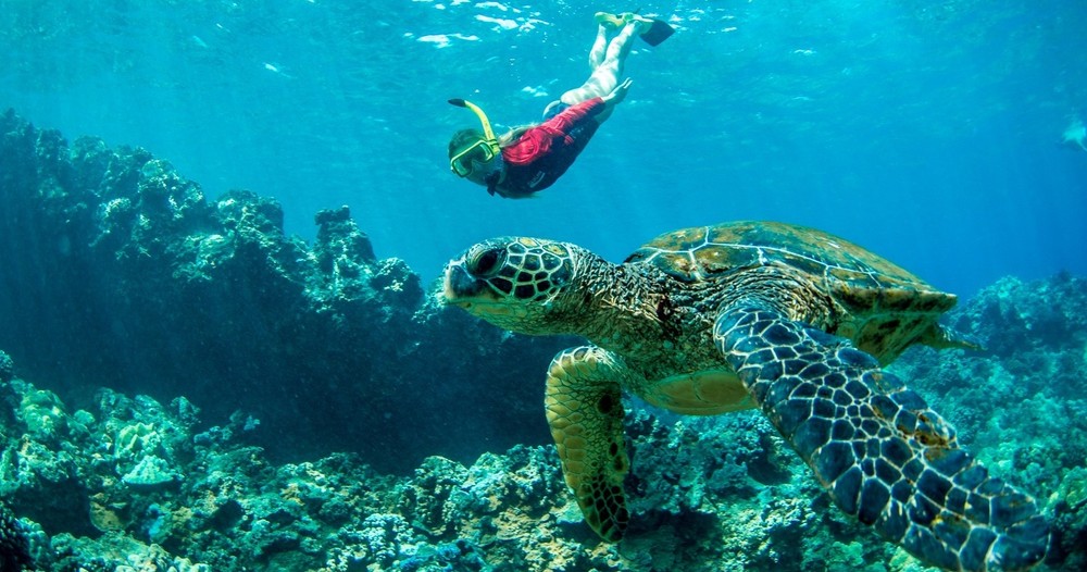 Sea Maui – West Maui Half Day Snorkel Adventure