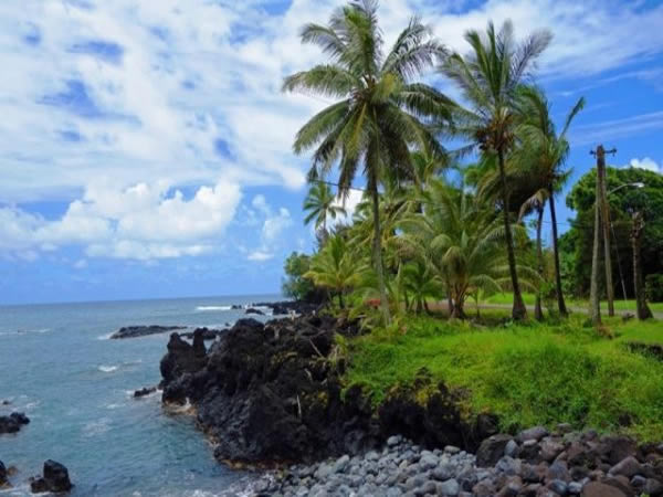 Lush Road to Hana highway with rainforest scenery and ocean cliffs on Maui