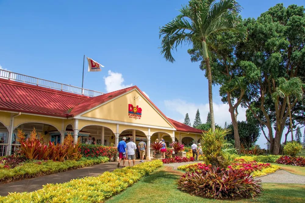 Dole Plantation