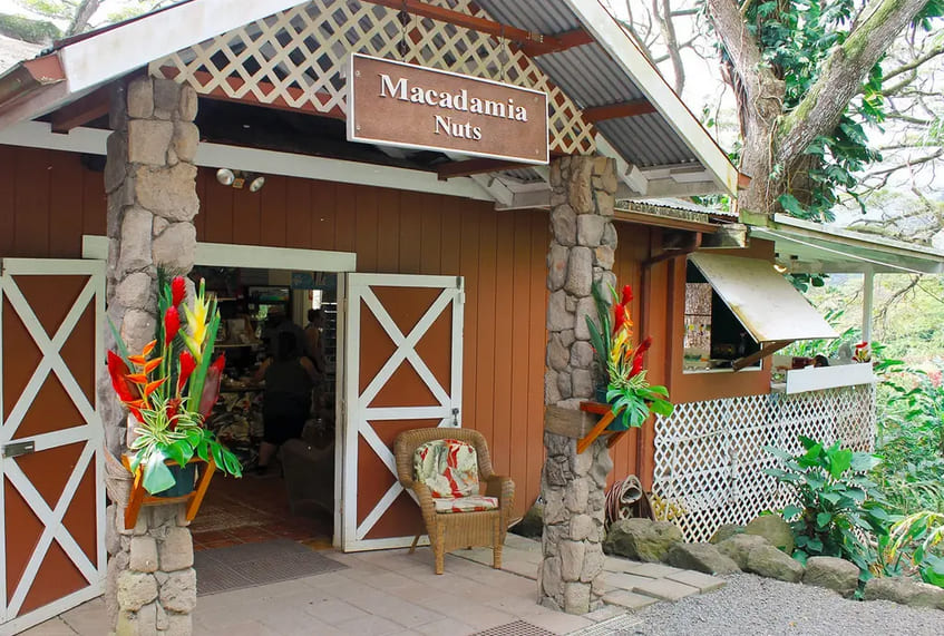Macadamia Nut Farm