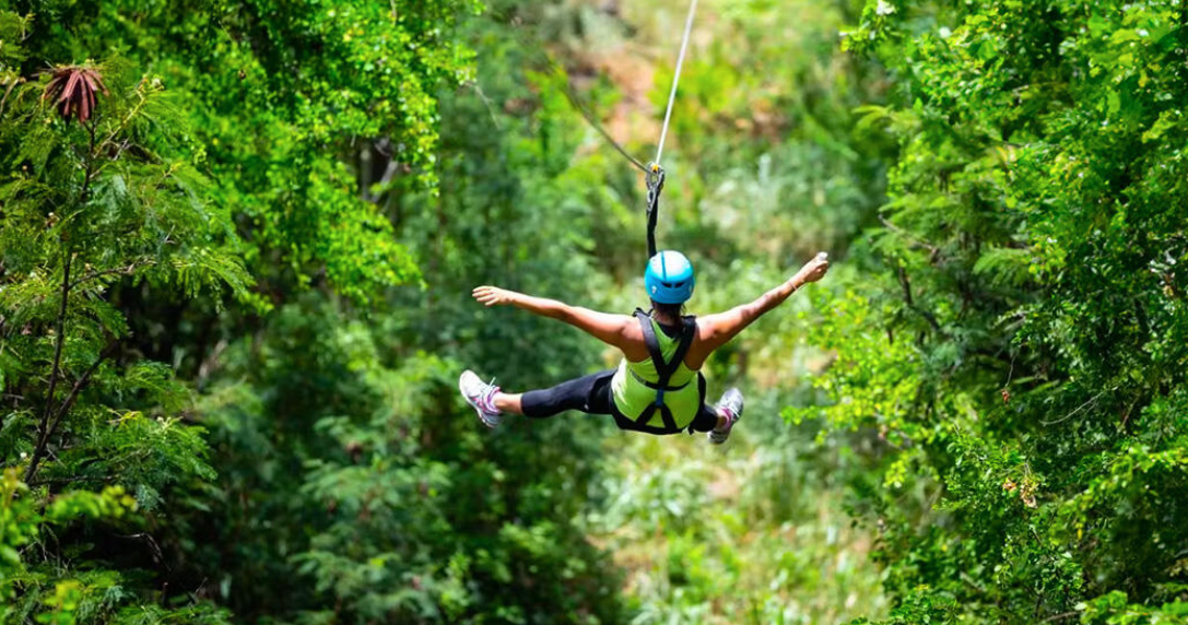 Zipline Adventure