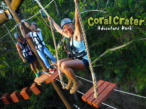 Fun Oahu Tour