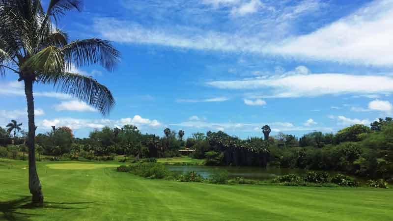 Hawaii Tee Times