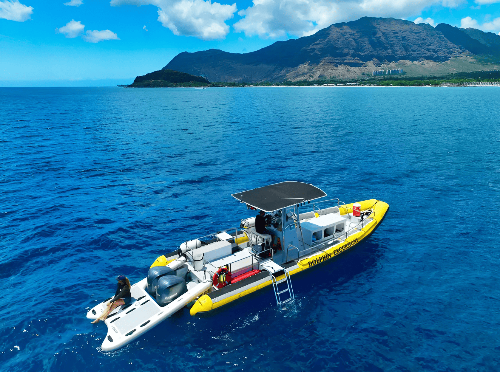 Dolphin Excursions