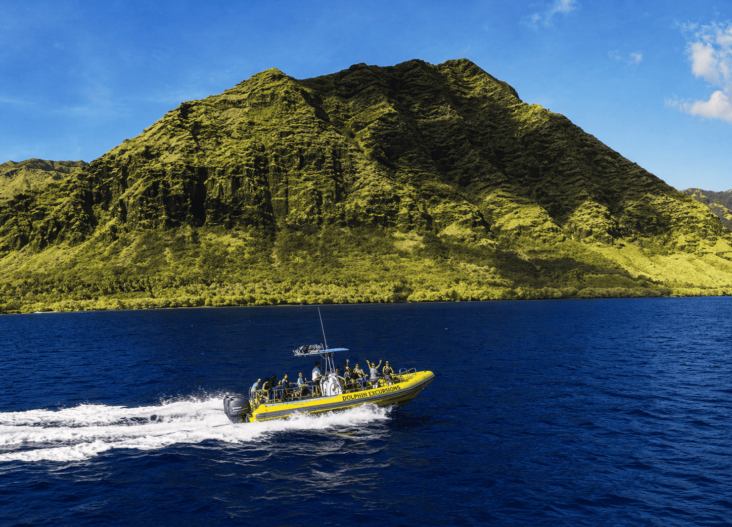 Dolphin Excursions – Wild Dolphin Encounter