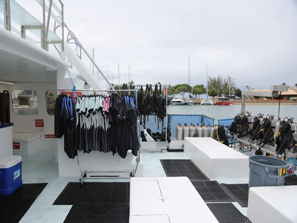 E Sea Diver Hawaii – Waikiki Turtle Snorkel