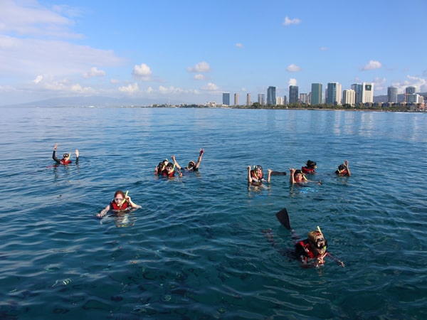 Waikiki snorkeling tour with E Sea Diver Hawaii exploring coral reefs and tropical fish habitats