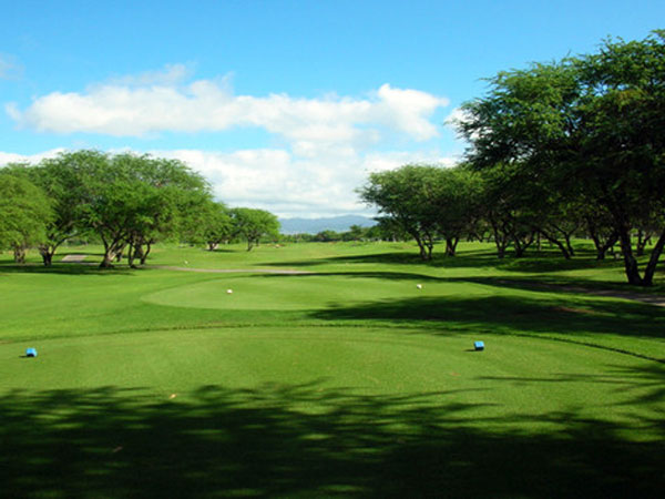 Oahu Golfing