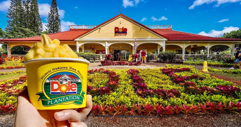 Dole Plantation