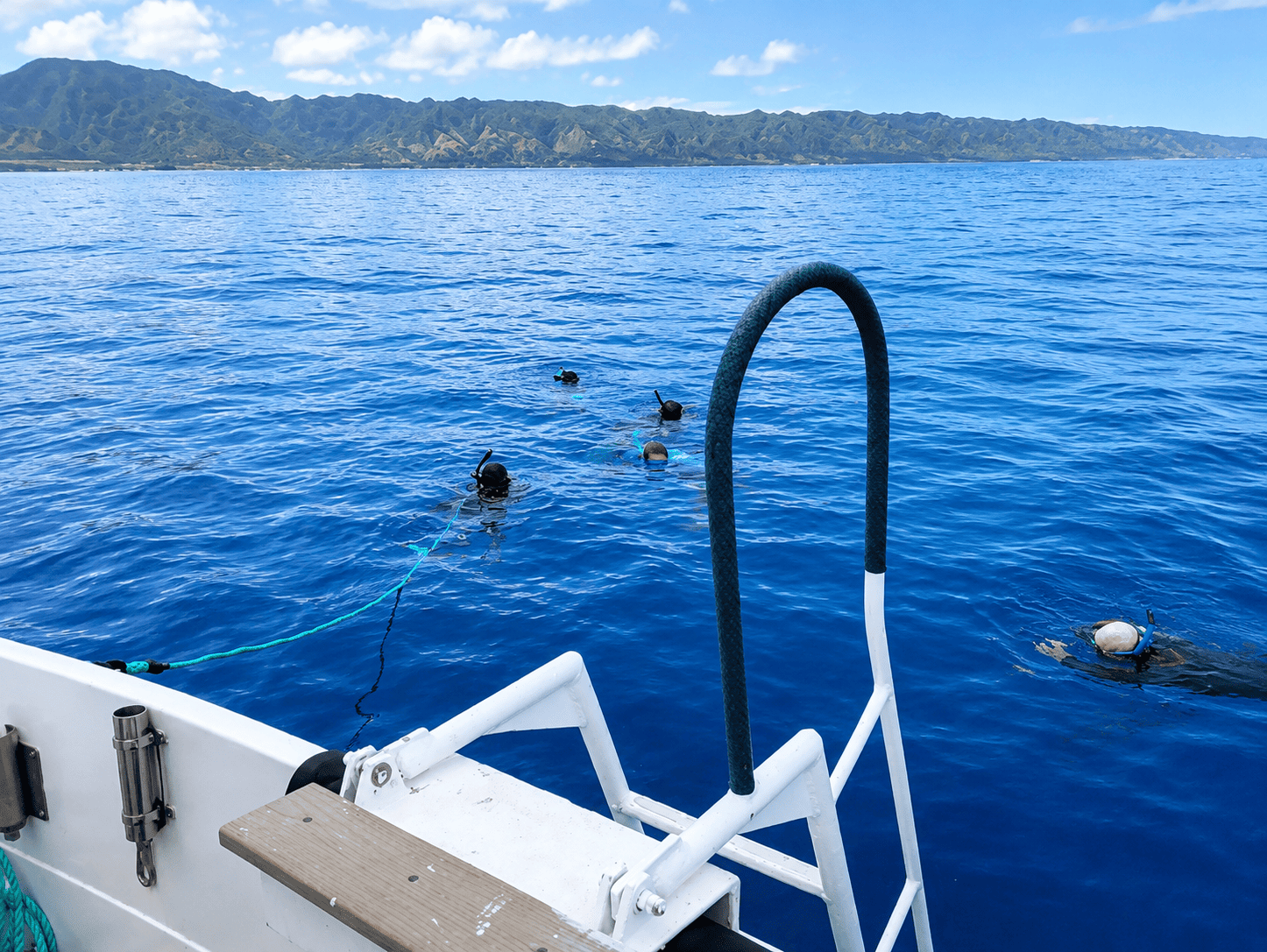 North Shore Oahu Cage Free Shark Snorkel