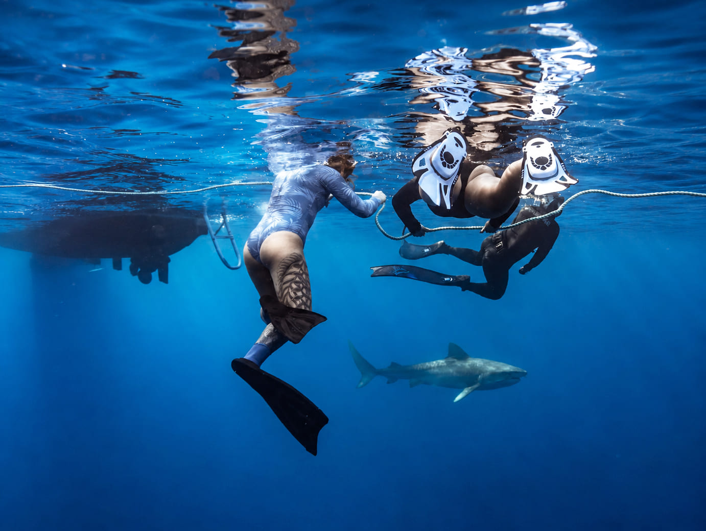 Go Adventure Hawaii