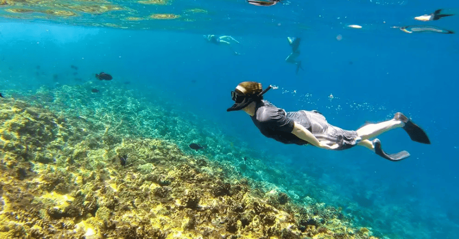 Oahu Snorkel Tour