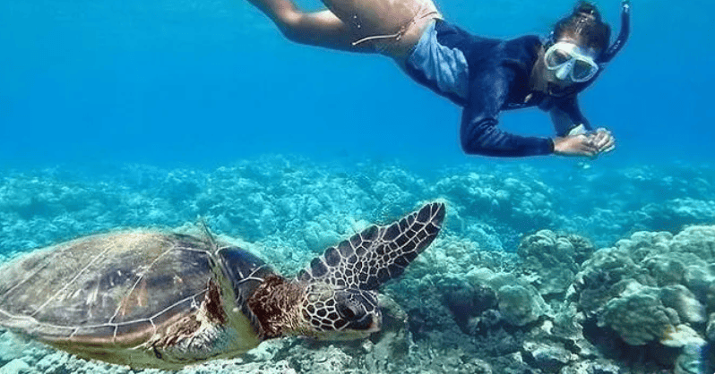 Go Adventure Hawaii – Snorkel Tour