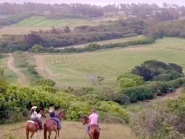 One-and-a-half-hour scenic horseback ride at Gunstock Ranch offering relaxed riding and panoramic Oahu views