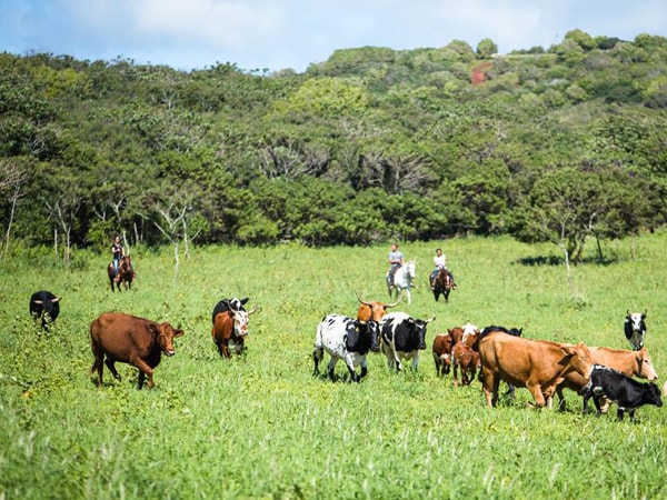 Gunstock Ranch