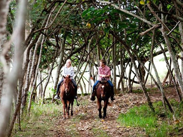Scenic Ride