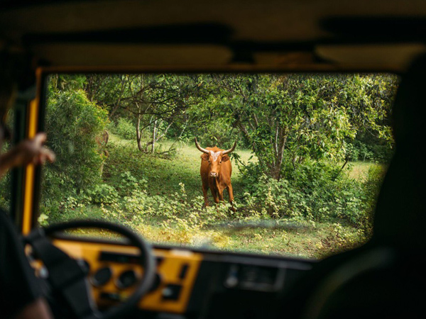 Gunstock Ranch – Private Off-Road Adventure