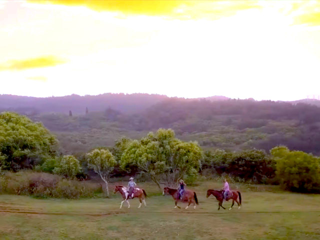 Gunstock Ranch sunset horseback ride with optional dinner offering a relaxed evening ride and island-style meal