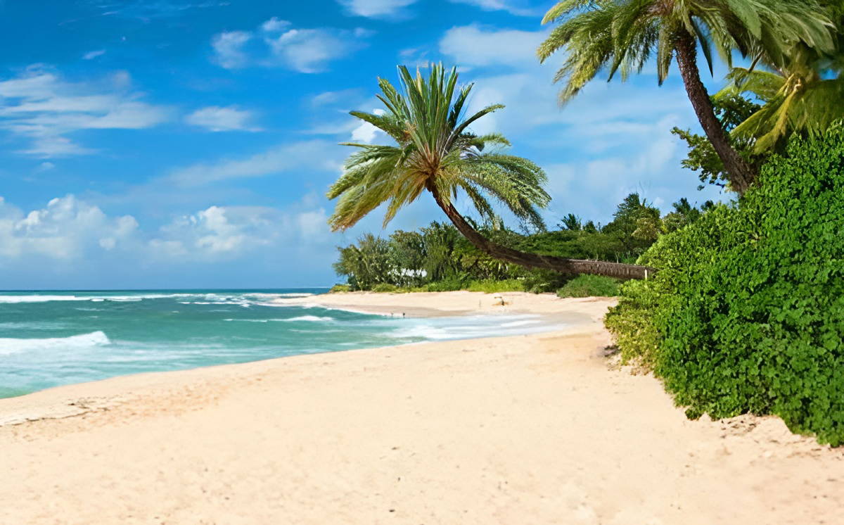 North Shore Beach Bus