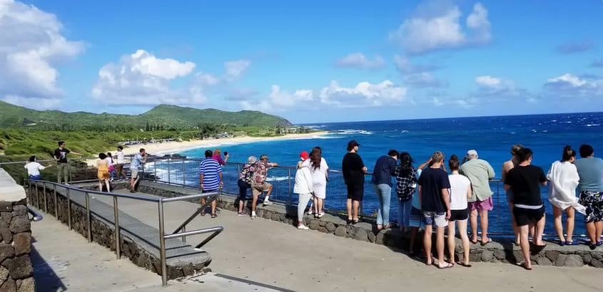 Visit Lookout Points