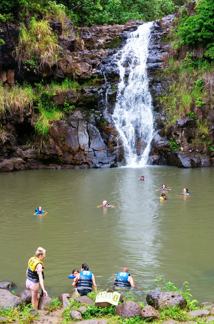 Waimea waterfall