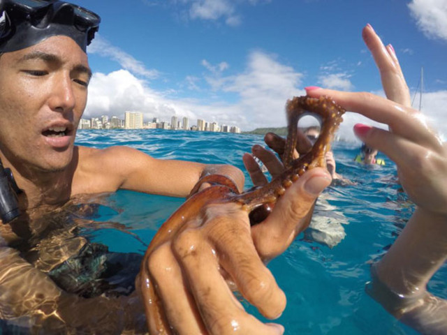 Turtles Guaranteed Snorkel Sail