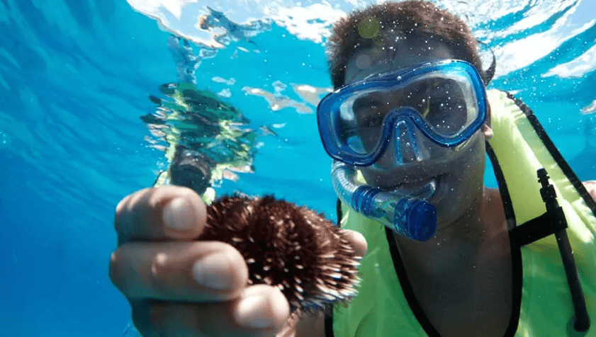 West Oahu Snorkeling