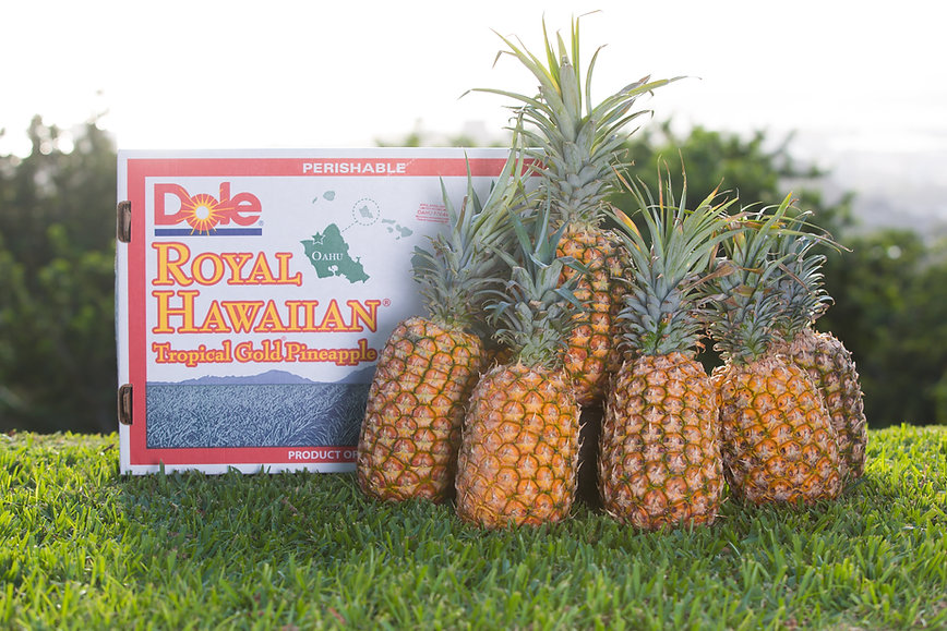 Hawaii Pineapples – Shipped to the Mainland US – 30 lbs