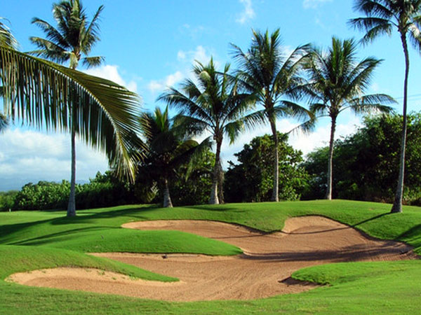 Golf Course in Oahu