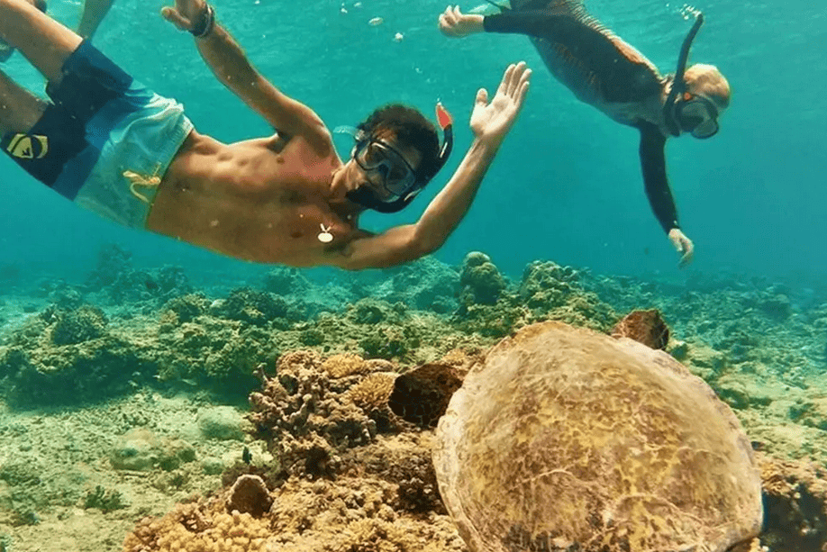 North Shore Oahu Snorkeling