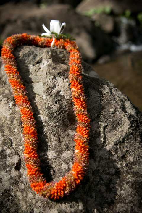 Cigar Lei - not a strong fragrance lei. Ideal for men.