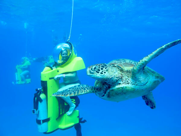 Oahu Underwater Tour