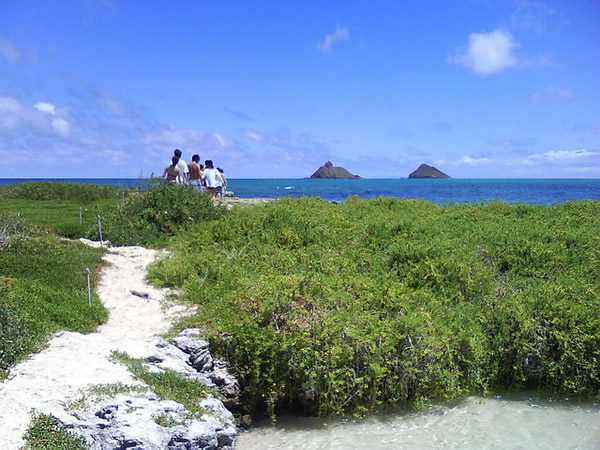 Oahu Beach Hike