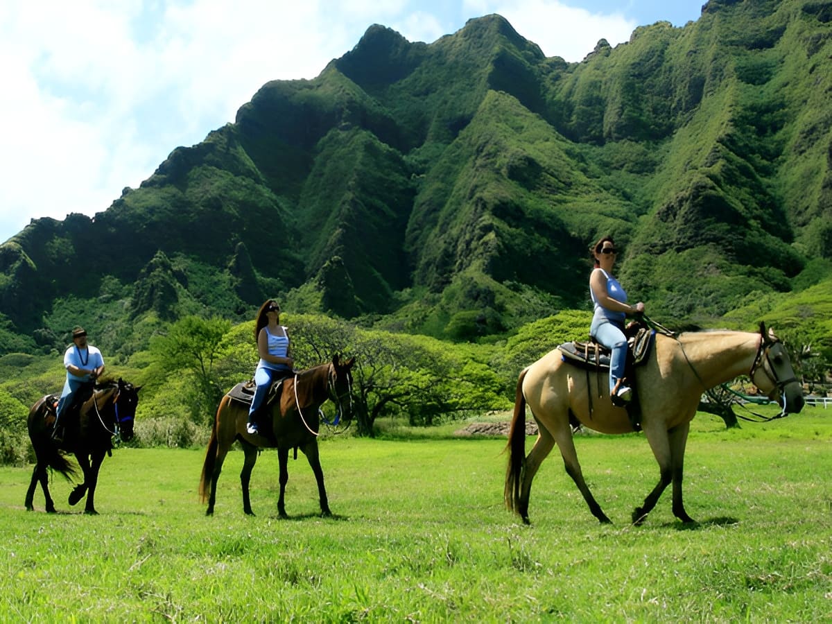 Kualoa Ranch Guided Horseback Ride